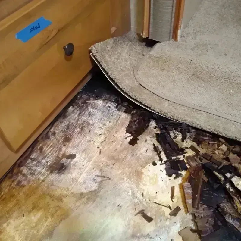 Best Wood Floor Water Damage Service in Edgerton, OH